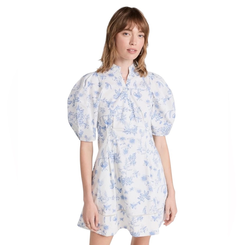 Club Monaco Floral Toile Print Balloon Sleeve Dress